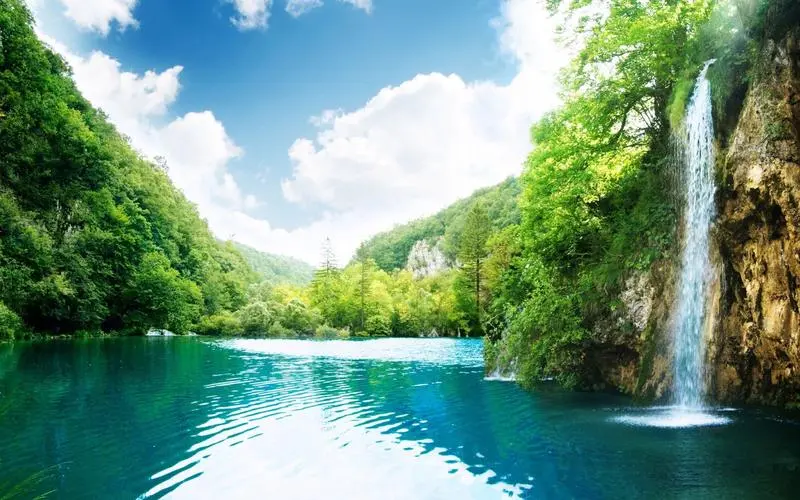 电子高性能高标准